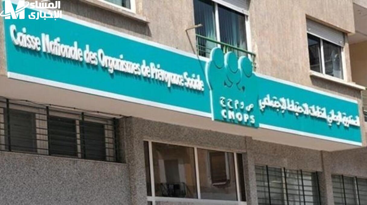 كنوبس