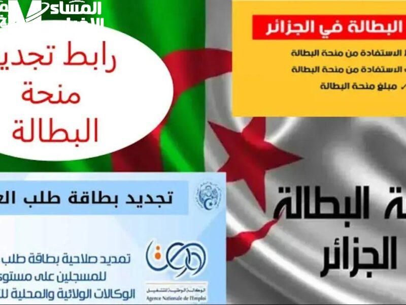  المنحة بقت أسرع بالتحديث الجديد.. بالخطوات كيفية تجديد منحة البطالة 2025 للمستفيدين بالجزائر خطوات بسيطة جدًا