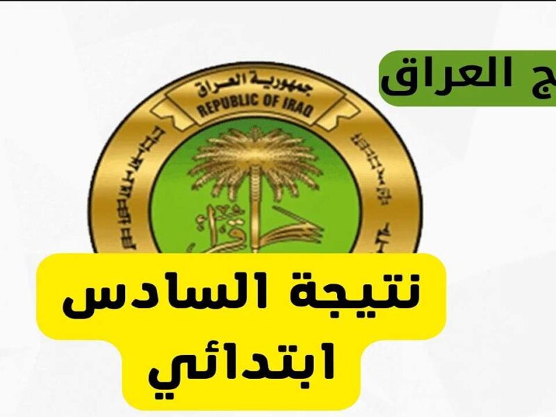 النتائج نزلت بشكل رسمي.. خطوات الاستعلام عن نتائج السادس الابتدائي 2025 اعرفها بثواني بس